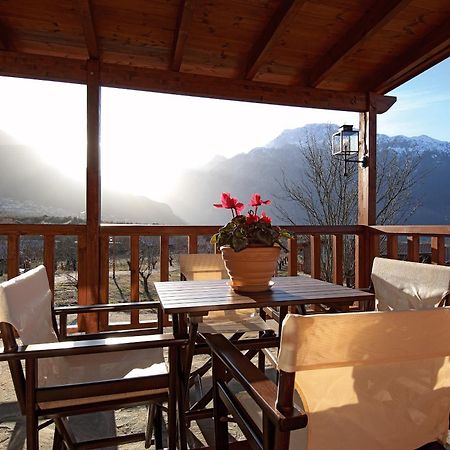 Villa Rustica Konitsa Extérieur photo