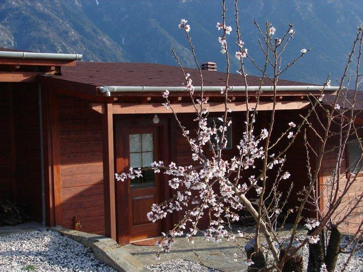 Villa Rustica Konitsa Extérieur photo