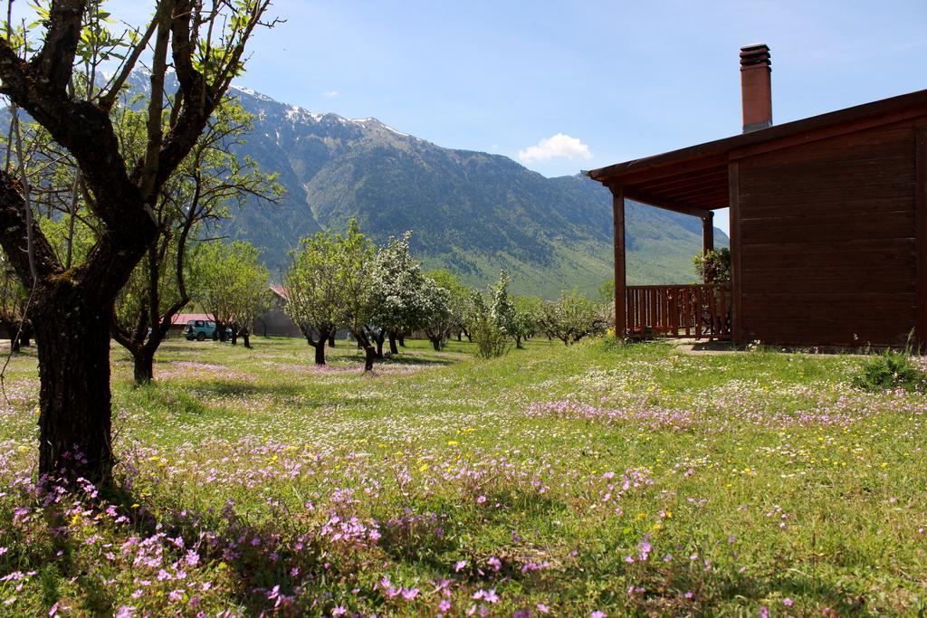 Villa Rustica Konitsa Extérieur photo