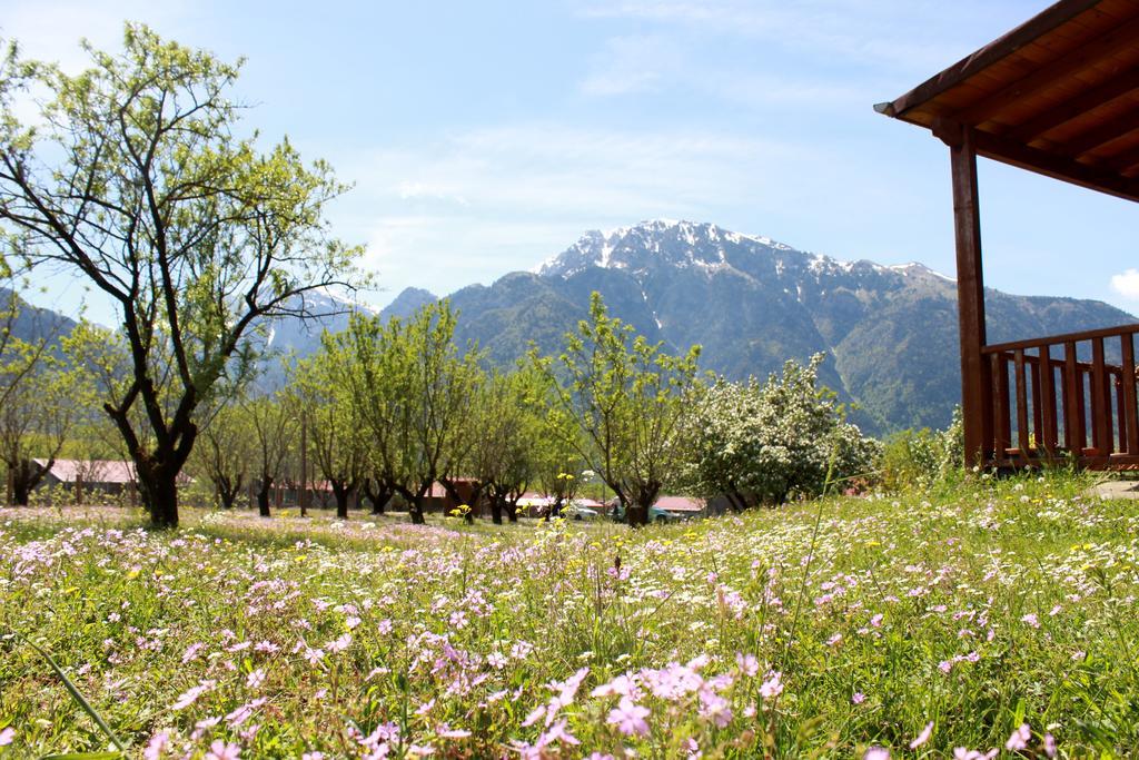 Villa Rustica Konitsa Extérieur photo
