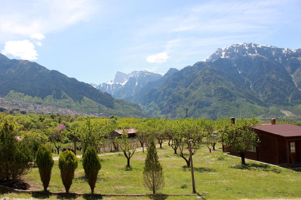 Villa Rustica Konitsa Extérieur photo