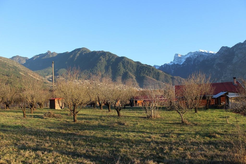 Villa Rustica Konitsa Extérieur photo