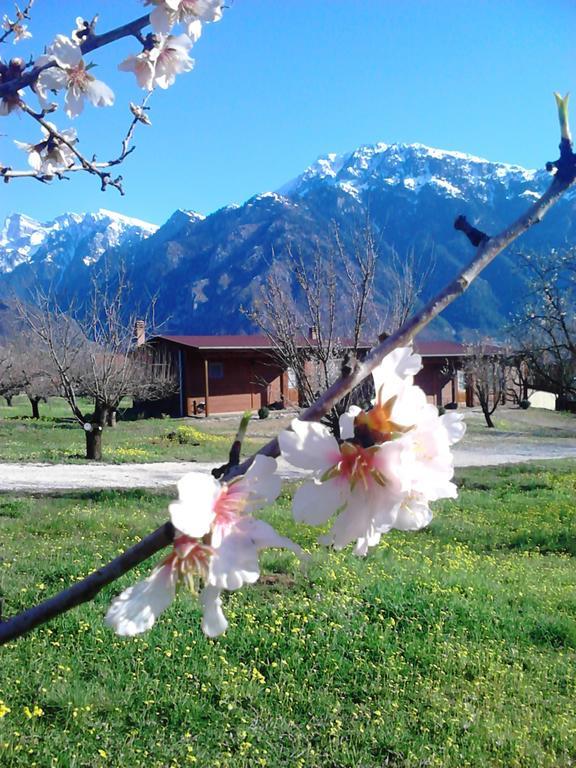 Villa Rustica Konitsa Chambre photo