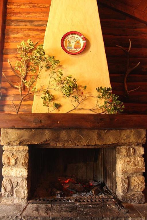 Villa Rustica Konitsa Extérieur photo