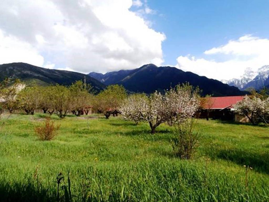 Villa Rustica Konitsa Extérieur photo