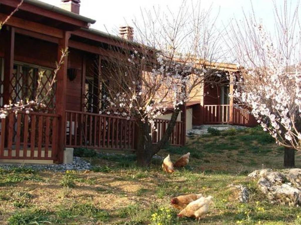 Villa Rustica Konitsa Chambre photo