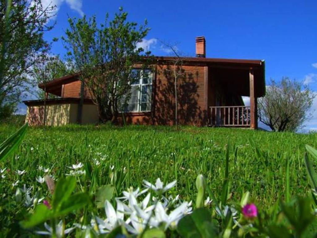 Villa Rustica Konitsa Extérieur photo