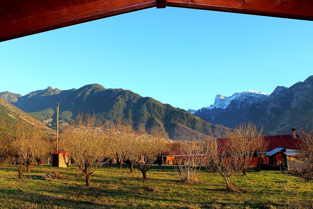 Villa Rustica Konitsa Extérieur photo